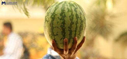 2021娱乐圈吃瓜不断,瓜田李下，明星风云录